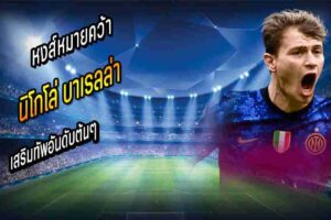 หงส์วาง บาเรลล่า ท็อปเป้าหมาย