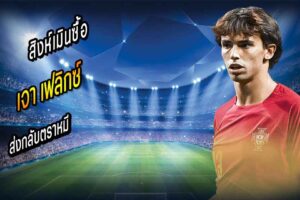 สิงห์เมินซื้อ เฟลิกซ์