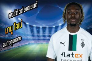 หงส์ติดต่อเอเยนต์ โคเน่