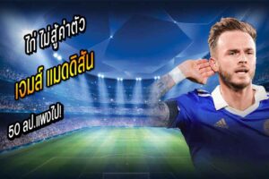 ไก่ ไม่สู้ค่าตัว แมดดิสัน