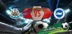 วิเคราะห์บอล พรีเมียร์ลีก : นิวคาสเซิ่ล -vs- ไบรท์ตันฯ