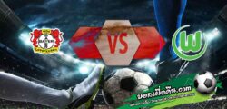 วิเคราะห์บอล บุนเดสลีก้า : เลเวอร์คูเซ่น -vs- โวล์ฟสบวร์ก