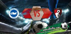 วิเคราะห์บอล พรีเมียร์ลีก : ไบรท์ตัน -vs- บอร์นมัธ
