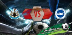 วิเคราะห์บอล เอฟเอ คัพ : นิวคาสเซิ่ล -vs- ไบรท์ตันฯ