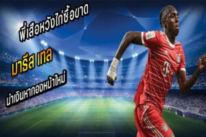 พี่เสือหวังไก่ซื้อขาด “เตล” นำเงินหากองหน้าใหม่