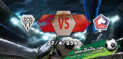วิเคราะห์บอล ลีก เอิง : อองเช่ร์ -vs- ลีลล์
