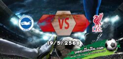 วิเคราะห์บอล พรีเมียร์ลีก : ไบรท์ตันฯ -vs- ลิเวอร์พูล