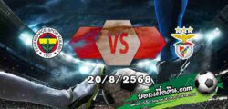 วิเคราะห์บอล แชมเปี้ยนส์ ลีก : เฟเนร์บาห์เช่ -vs- เบนฟิก้า